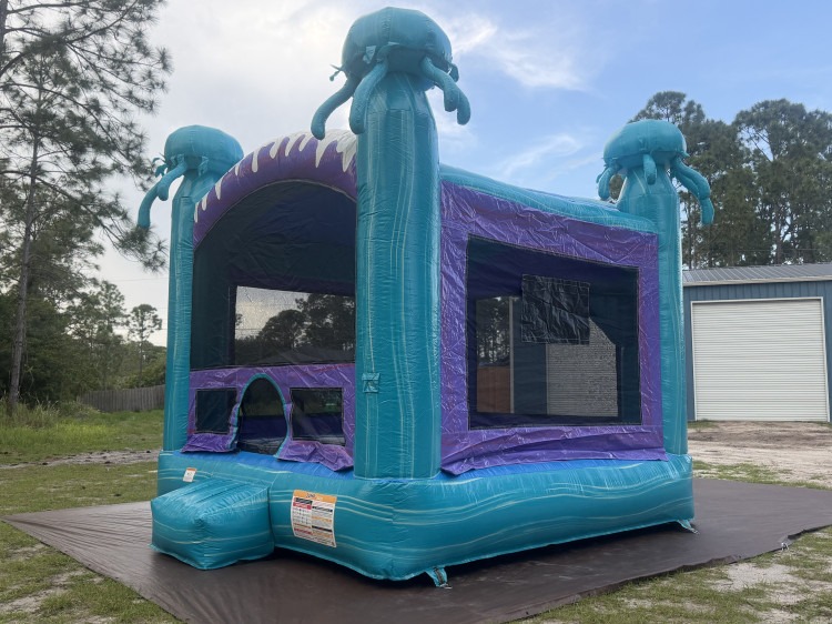 Bounce Houses Bounce Houses